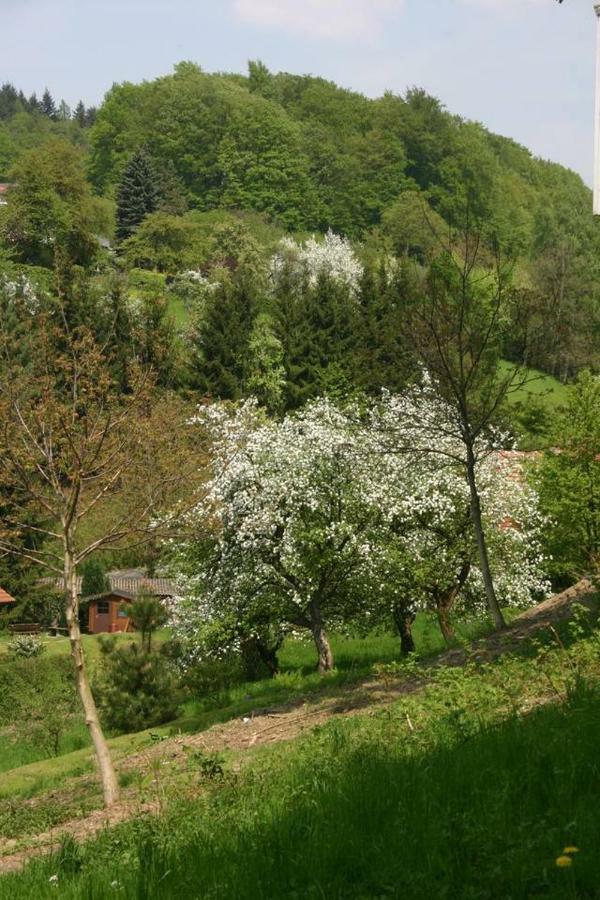 Talblick In Traumhafter Lage! * Ober-Hambach